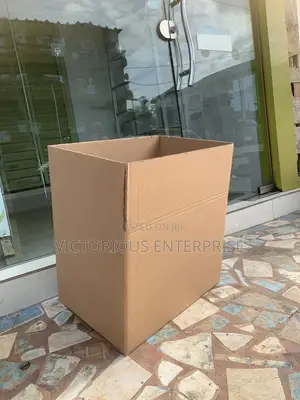 Storage Carton