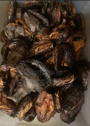 Smokey Cat Fish