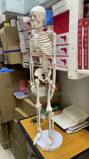 Small Skeleton