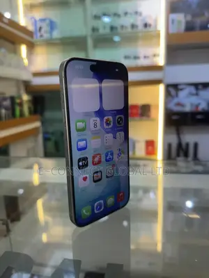 Apple iPhone 15 Pro Max 256 GB Gray