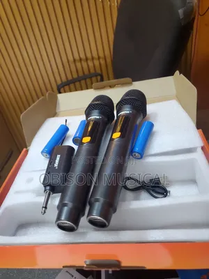Wireless Microphone