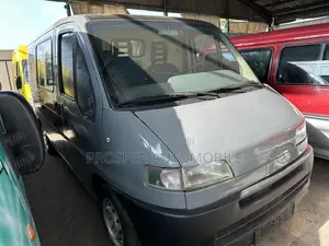 Fiat Ducato 2009 Grey
