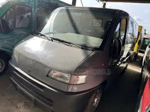 Fiat Ducato 2009 Grey