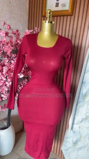 Long Dresses / Long Sleeve Body Con Gown