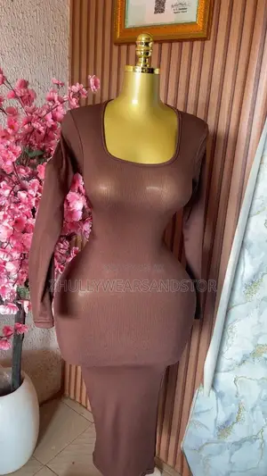 Long Dresses / Long Sleeve Body Con Gown