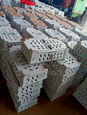 Agrited Day Old Chicks