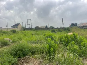 38 Plots of Land for Sale in Oyigbo, Rivers State.