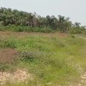Plots of Land Available in Ubani