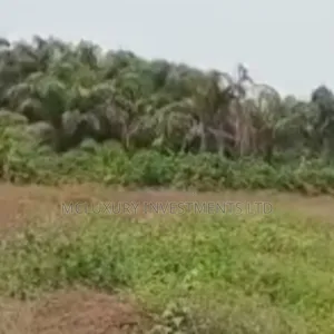 Land Available for Flats on an Estate in Umuahia