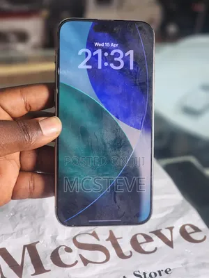 Apple iPhone 15 Pro Max 256 GB Gray