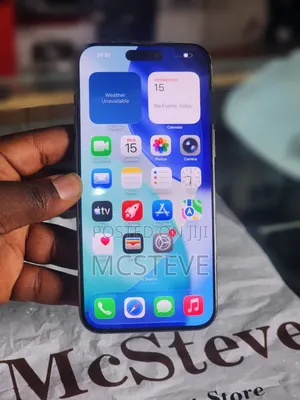 Apple iPhone 15 Pro Max 256 GB Gray