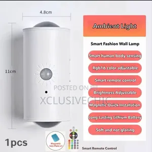 Smart Infrared Sensing Charging Wall Lamp