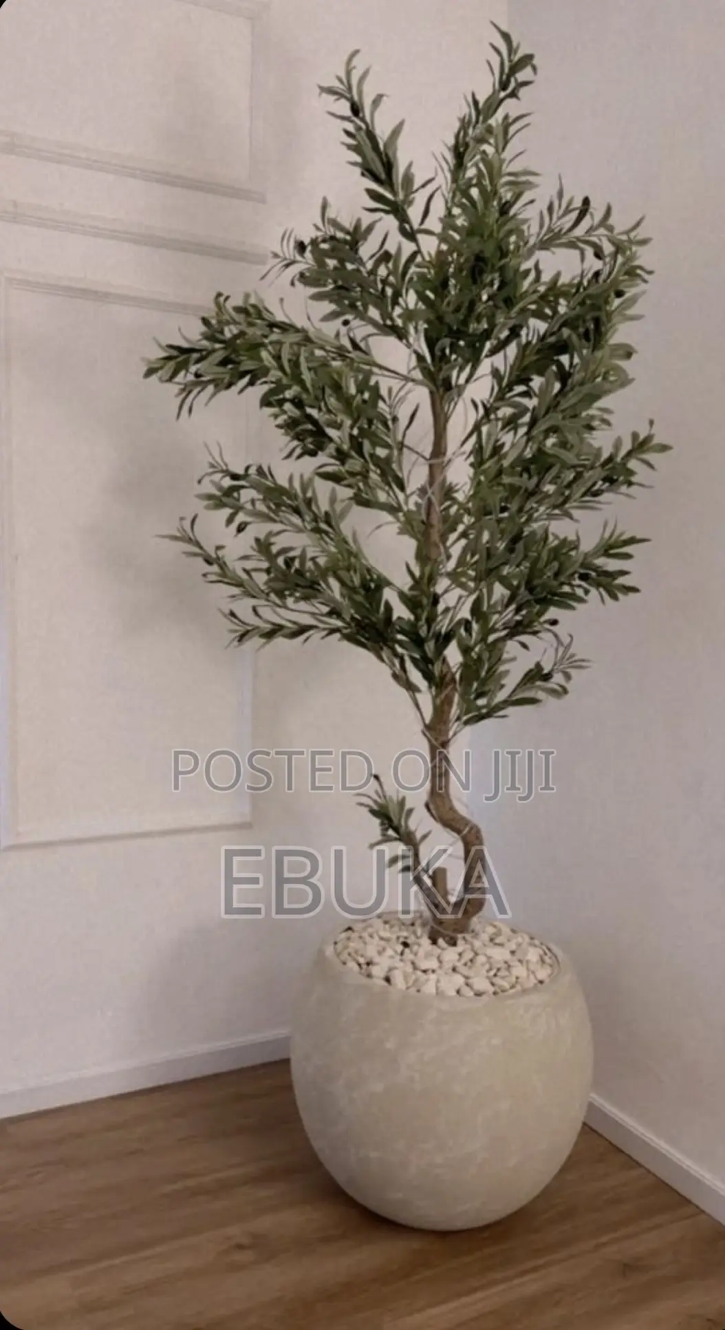 Round Bottom Pot
