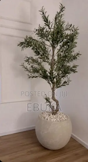 Round Bottom Pot