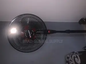 Standing Fan