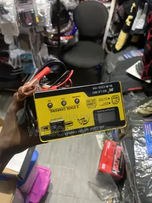 Bolaimei Battery Charger