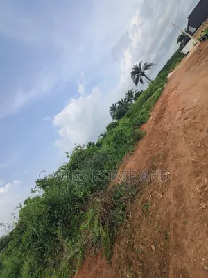 50ft by 100ft for Sale at Obagie Community Off Sapele Road
