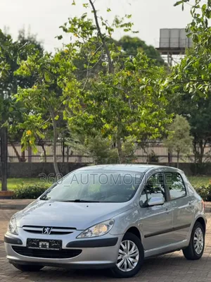 Peugeot 307 2005 Silver
