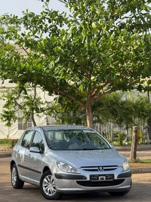 Peugeot 307 2005 Silver