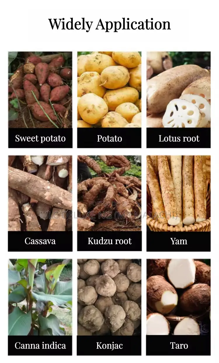 Casava / Yam / Potato Starch Processing Machine ( Imported Type )