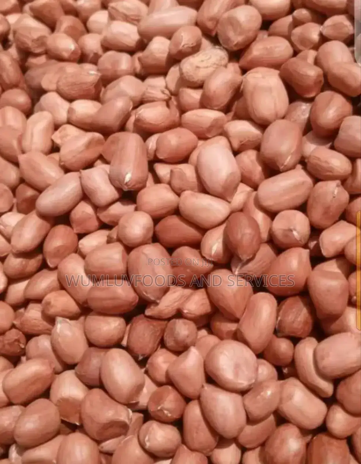 Groundnuts