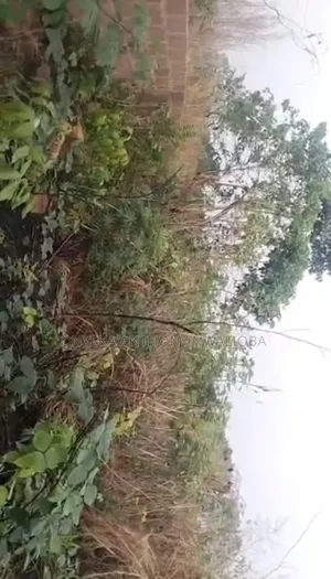 One Plot of Land for Sale in Enugu East
