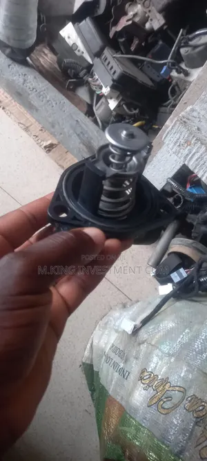 Thermostat for Honda Accord 08