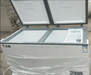Chigo 428L Double Door Deep Freezer
