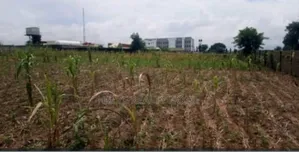 Plot of Land