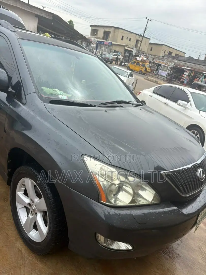 Lexus RX 2008 Gray