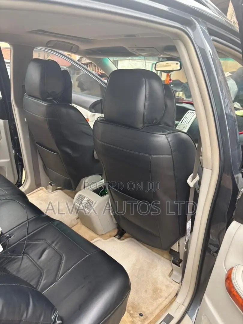 Lexus RX 2008 Gray