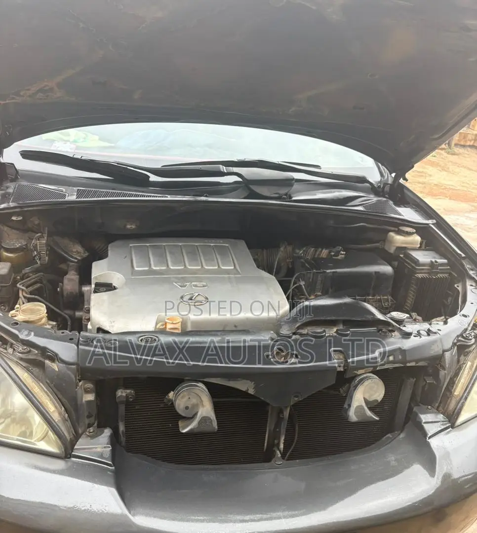 Lexus RX 2008 Gray