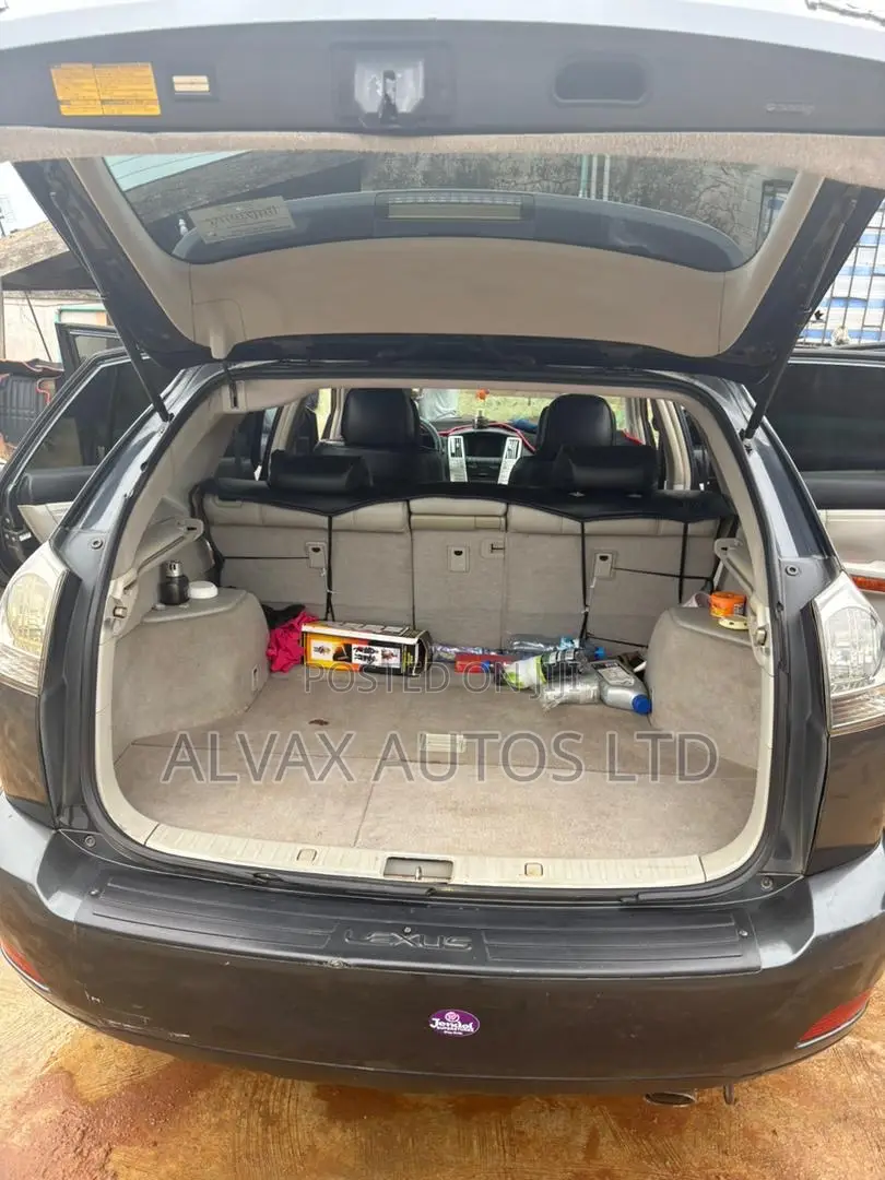 Lexus RX 2008 Gray