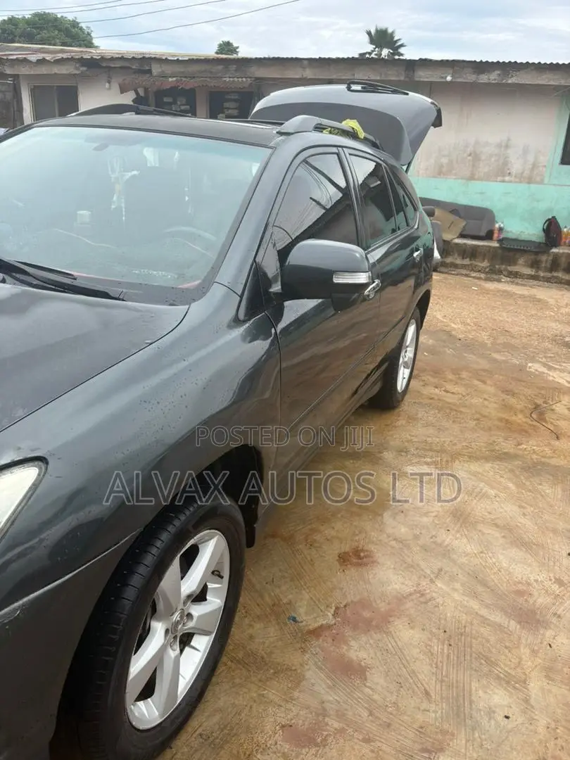 Lexus RX 2008 Gray