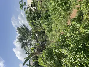 A Complete Full Plot of Land in a Cool and Serene Environment