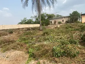 Half Plot of Land for Sale.
