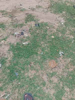 Commercial Land For Sale