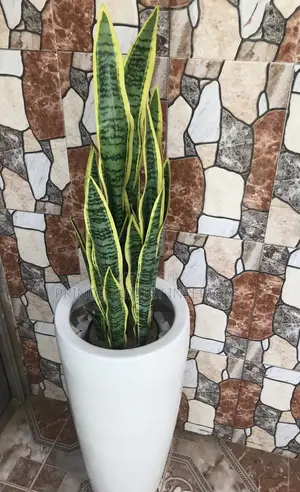 Artificial Snake Flower Plant