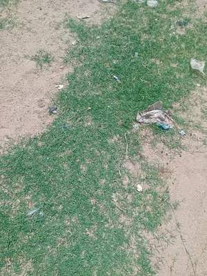 Filling Station Land For Sale At Katampe