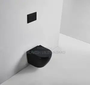 Imperial Black Concealed Water Closet Set