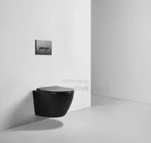 Imperial Black Concealed Water Closet Set