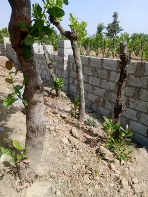 500sqm of Estate Plot 4 Bedroom Fully Detached Penthouse