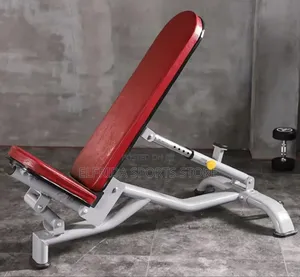 Heavy Duty Adjustable Gym Bench,Weight Bench for Home Commercial Gym