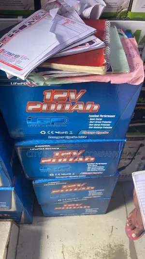 200a LGP Battery