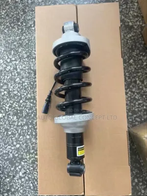 Audi R8 Back Shock