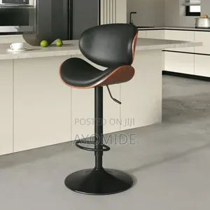 Adjustable Bar Stool