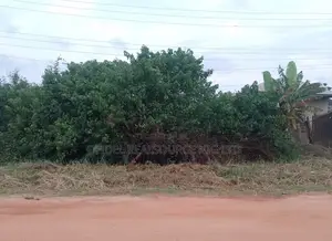 545sqm Land Within Opic Riverview Estate, C of O for Sale.