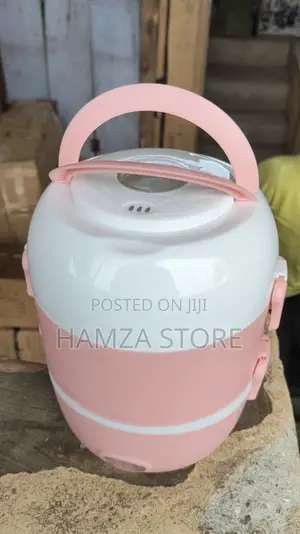 Double Layer Electric Lunch Box