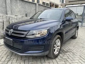 Volkswagen Tiguan 2012 Blue