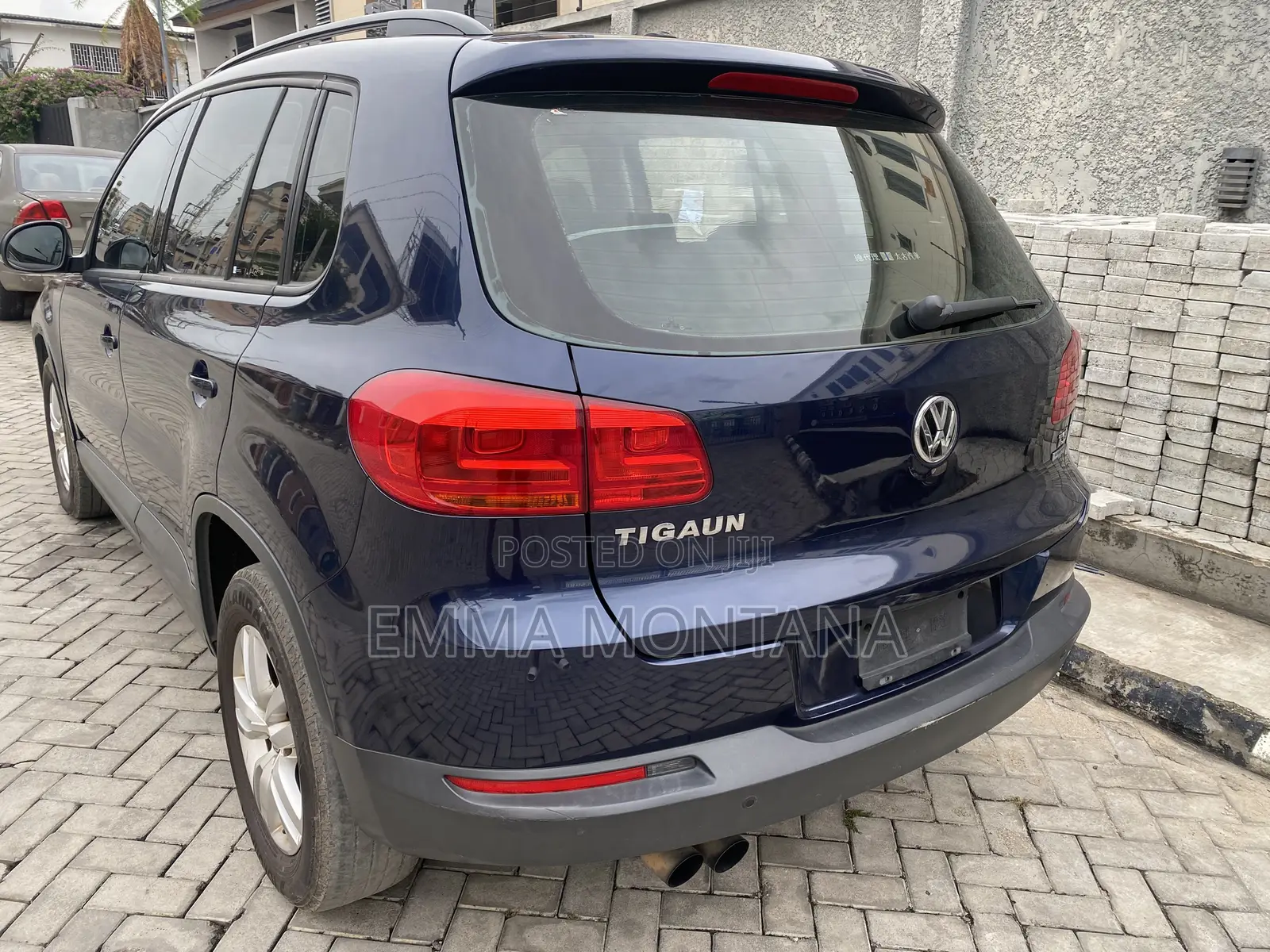 Volkswagen Tiguan 2013 Blue